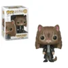 FUNKO Pop! Movies : Harry Potter - Hermione Granger As Cat
