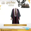 Famesbro Wizarding World Cinereplica: Robe Harry Potter Wizard: Gryffindor (Medium)