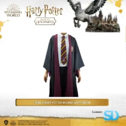 Famesbro Wizarding World Cinereplica: Robe Harry Potter Wizard: Gryffindor (Medium)