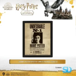 Wizarding World Pyramid International: Harry Potter (Potter Sirius) Framed 10X8 3D