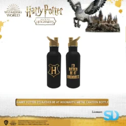 Pyramid International: Harry Potter (I'D Rather Be At Hogwarts) Metal Canteen Bottle Wizarding World