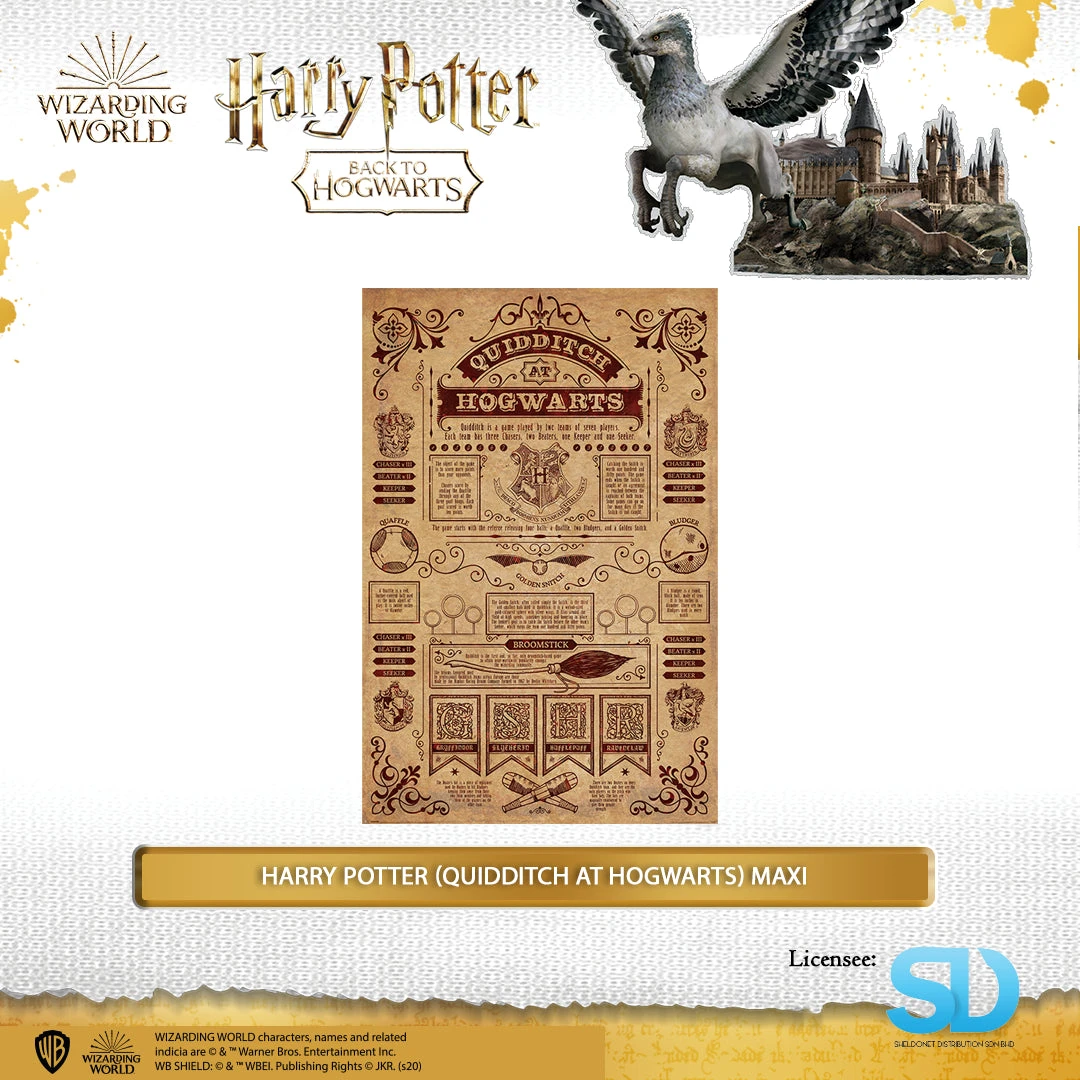 Wizarding World Pyramid International: Harry Potter (Quidditch At Hogwarts) Maxi Poster 3 Wizarding World Pyramid International: Harry Potter (Quidditch At Hogwarts) Maxi Poster