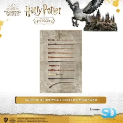 Pyramid International: Harry Potter (The Wand Chooses The Wizard) Maxi Poster